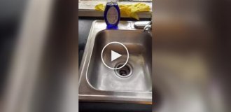 Для чего еще можно использовать щетку