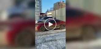 Ворона катается на лобовом стекле автомобиля