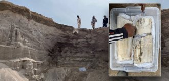 У Киргизії робітники каменоломні знайшли останки мамонта (4 фото)