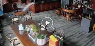 И вкусно, и грустно: из погибших аквариумных рыб приготовили ужин