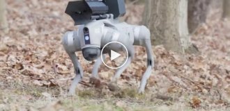Robodog with a built-in flamethrower
