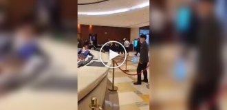 A wild boar broke into a hotel in China