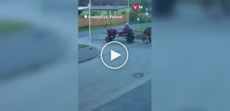 A Drunk Man Rides to the Police on a Horse Because He Was Banned from Driving
