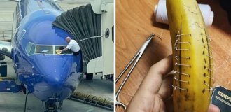 15 фото, на которых люди решили наглядно показать всю правду о своей работе (16 фото)