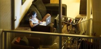 Жизнь на виду: Почему голландцы не завешивают окна шторами (6 фото)