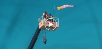 Прыжок ассасина стал реальностью: спортсмены Red Bull установили мировой рекорд
