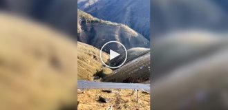 Солнечные панели доставляют по воздуху