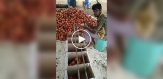 Indians have come up with a brilliant invention for sorting crops by size