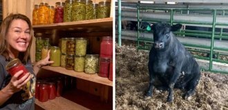 20 атмосферных фотографий из загородной жизни, от которой захочется немедленно переехать в село (25 фото)