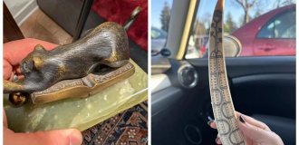 12 штук, які неможливо впізнати без підключення колективного розуму (20 фото)