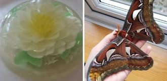 30 People Who Picked Quirky Hobbies and Took Them to a Whole New Level (31 Photos)
