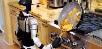 Повара, ваши рабочие места в безопасности! Робот не справился с простым заданием на кухне (5 фото + 2 видео)