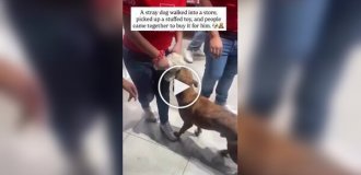 Игрушка, за которую стоило бороться