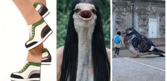 20 фото, которые заставят ваш мозг зависнуть и перезагрузиться (21 фото)