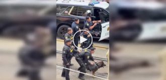 В Сан-Диего полицейская собака задержала подозреваемого в нападении с ножом