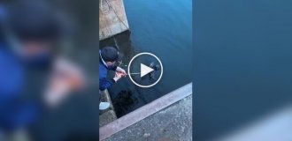 A woman caught an "alien slug" while fishing