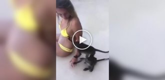 Is It Real or Not: A Curious Monkey Couldn't Resist On the beach
