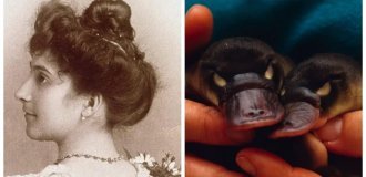 8 Scientific and Historical Facts That Shatter Our View of the World (9 photos)