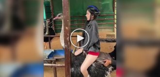 A new pastime for Chinese youth - riding ostriches