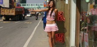 What are these provocative beauties on the roadsides of Taiwan (6 photos)