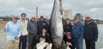 Рибалка похвалився рекордним уловом вагою майже 380 кг (3 фото)