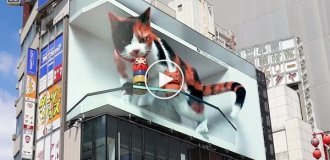 A giant 3D cat at a Tokyo station