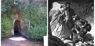 Собачья пещера: как собаки стали жертвами туристического аттракциона (11 фото)