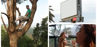 30 Bizarre Laws From Around the World That Sound Made Up But Are Actually Real (31 photos)