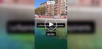 Экоактивисты окрасили воды Гранд-канала в Венеции в кислотно-зеленый цвет