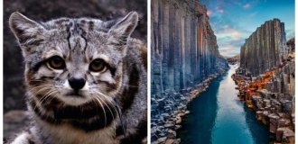 20 природних див, від яких перехоплює дихання (21 фото)