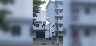 Странные видео (короткие видео). Выпуск 39