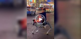 В Китае робособак превратили в средство передвижения для детей