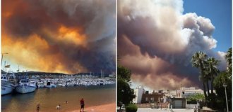 Новый  пик жары до +43°C превратит юг Европы в пороховую  бочку: спасатели бьют тревогу из-за лесных пожаров (3 фото + 5 видео)