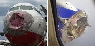 Кадры, сделанные после приземления самолетов: лучше этого не видеть (15 фото)