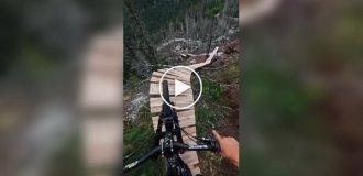 Заезд по экстремальной трассе