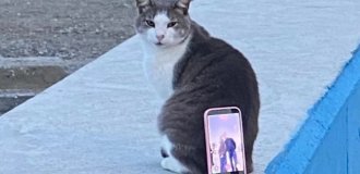 Лучший живой штатив для смартфона (3 фото)