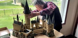 Китайська бабуся відновила рухливість руки завдяки наборам LEGO (7 фото)