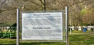 Вангелия (42 фото)