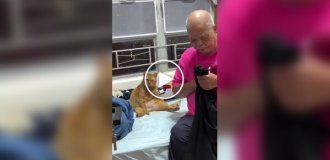 Кот стал похож на своего хозяина