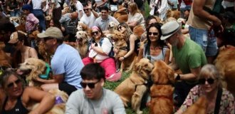 Самый милый мировой рекорд в Буэнос-Айресе (8 фото)