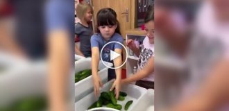 Чему учат детей в польских детсадах