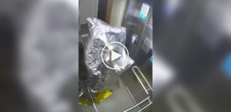 Лифтовый вредитель
