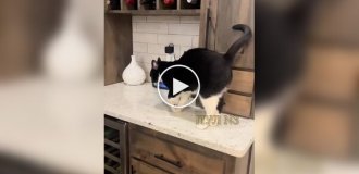 Пушистый симулянт