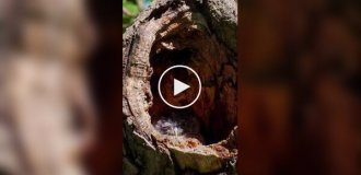 Состояние многих к концу рабочей недели