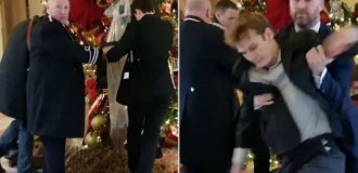 Протестующие удобрили навозом ёлку в отеле Ritz (5 фото + 1 видео)