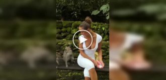 Туристка захотела фото с обезьяной, но получила укус вместо снимка