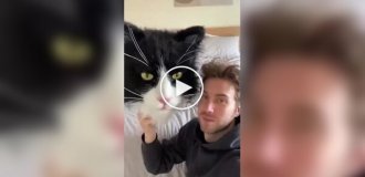 Кот показал, кто в доме хозяин