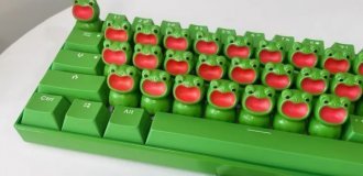 Cool keyboard for toad lovers (4 photos + video)