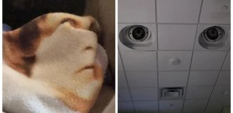 30 фото удивительных лиц, которые подстерегают везде и заставят вас всматриваться в каждую розетку (31 фото)