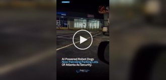 Робопсы начали патрулировать парковки в США